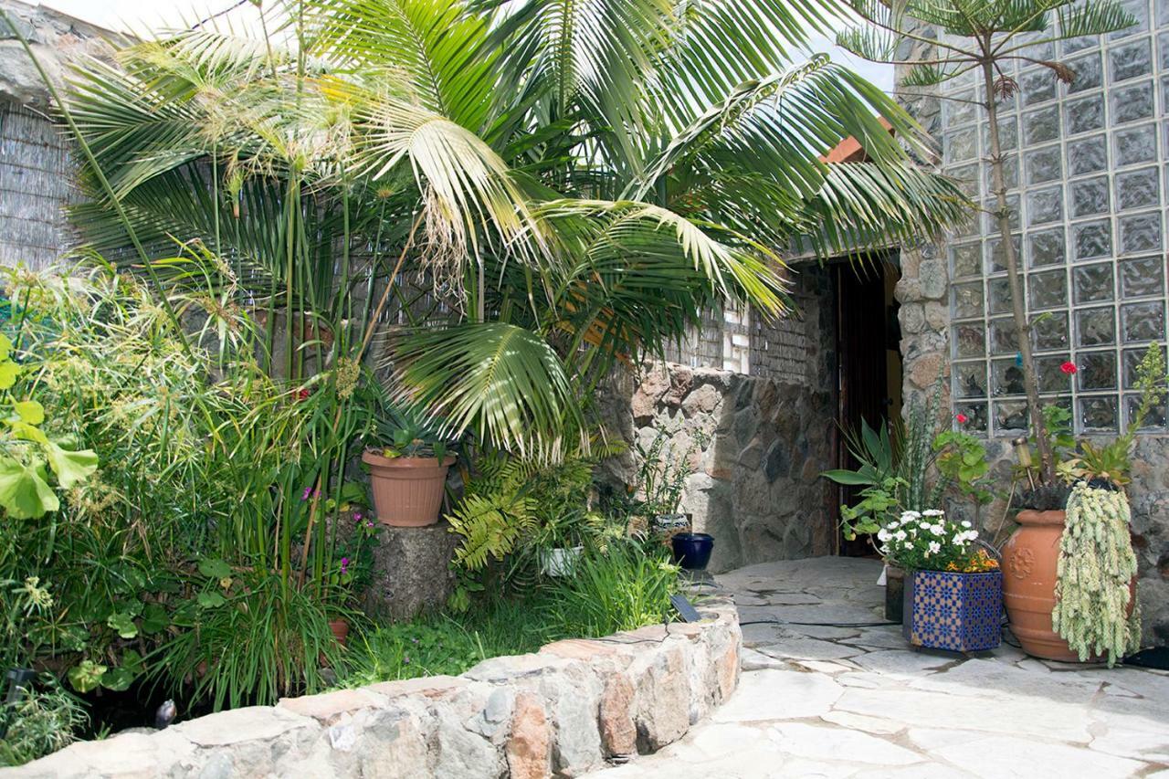Homestay Casa El Drago-tafira Baja
