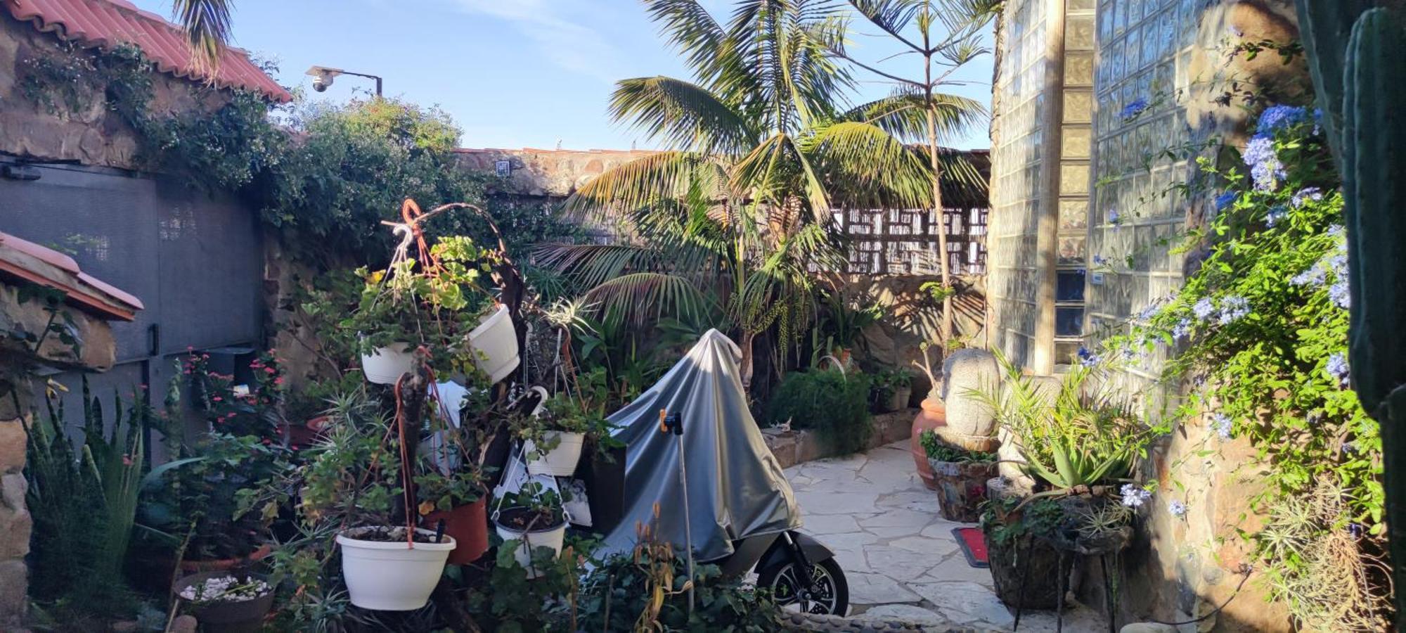 Casa El Drago-tafira Baja Privatunterkunft *