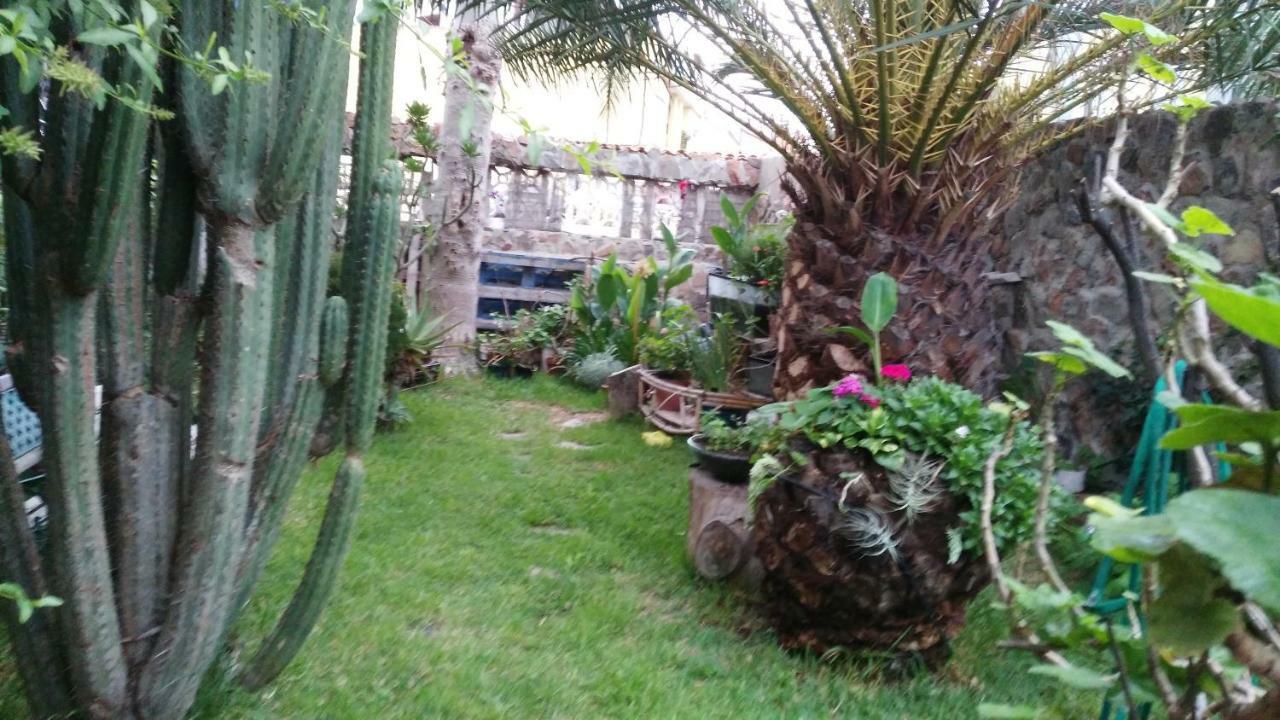 Casa El Drago-tafira Baja Privatunterkunft Las Palmas / Gran Canaria