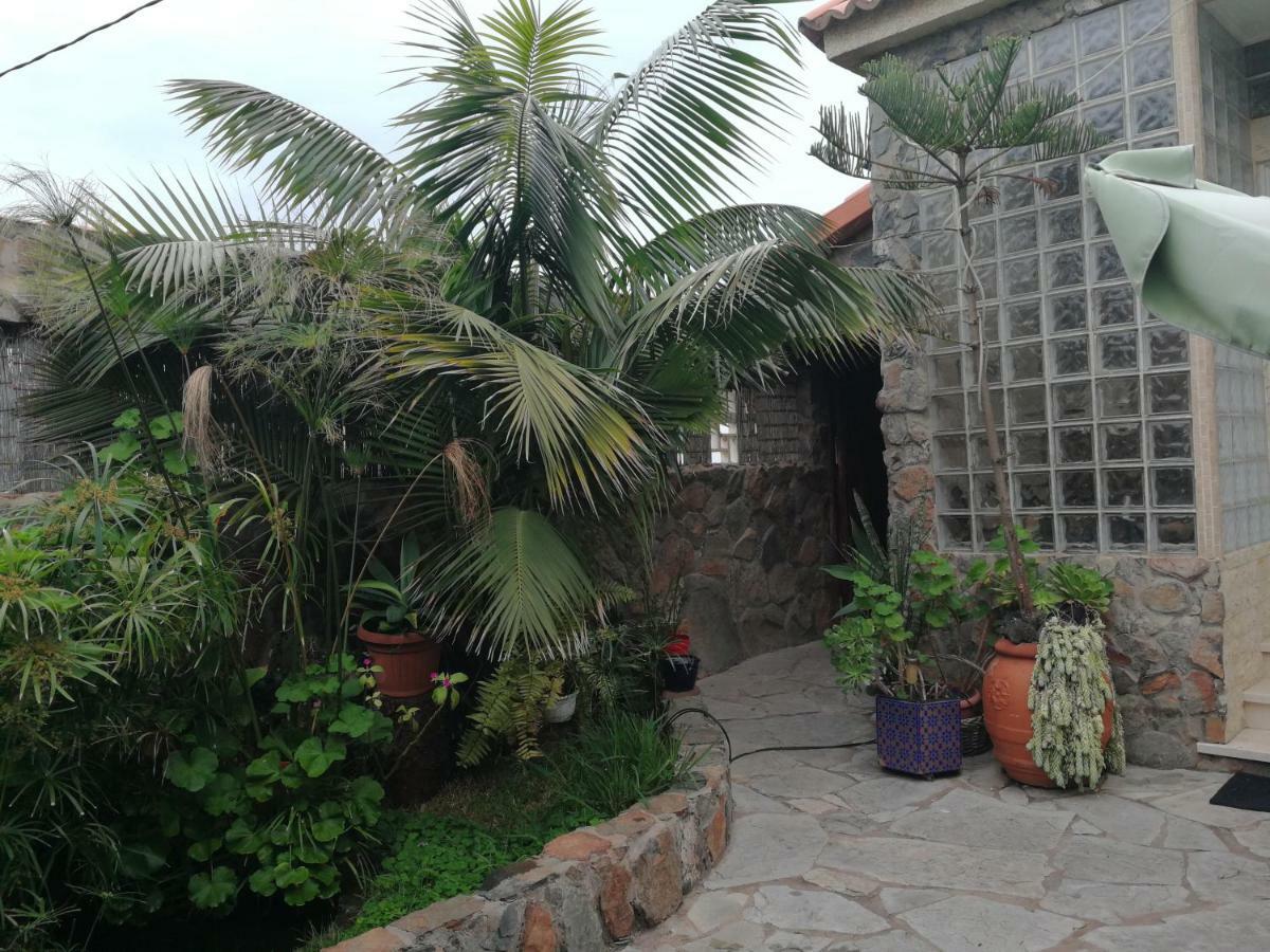Casa El Drago-tafira Baja Las Palmas / Gran Canaria