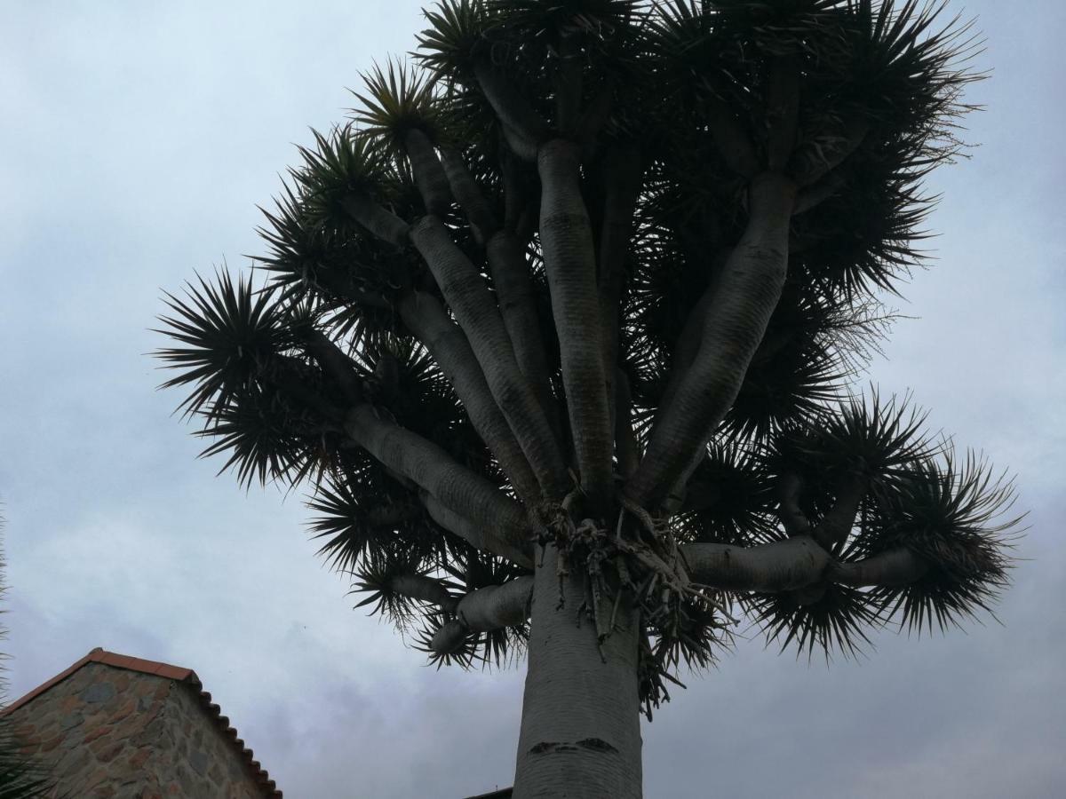 Casa El Drago-tafira Baja Privatunterkunft
