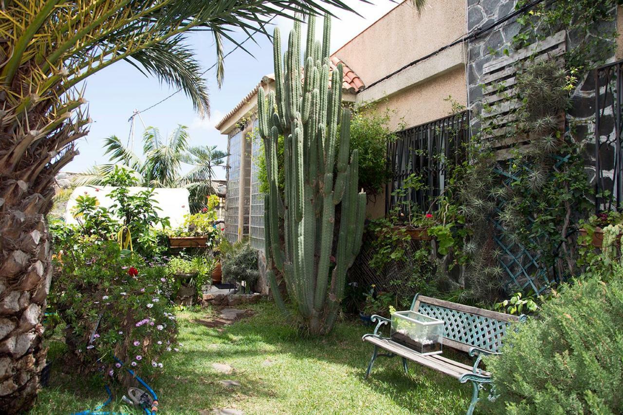 Accommodatie bij particulieren Casa El Drago-tafira Baja *