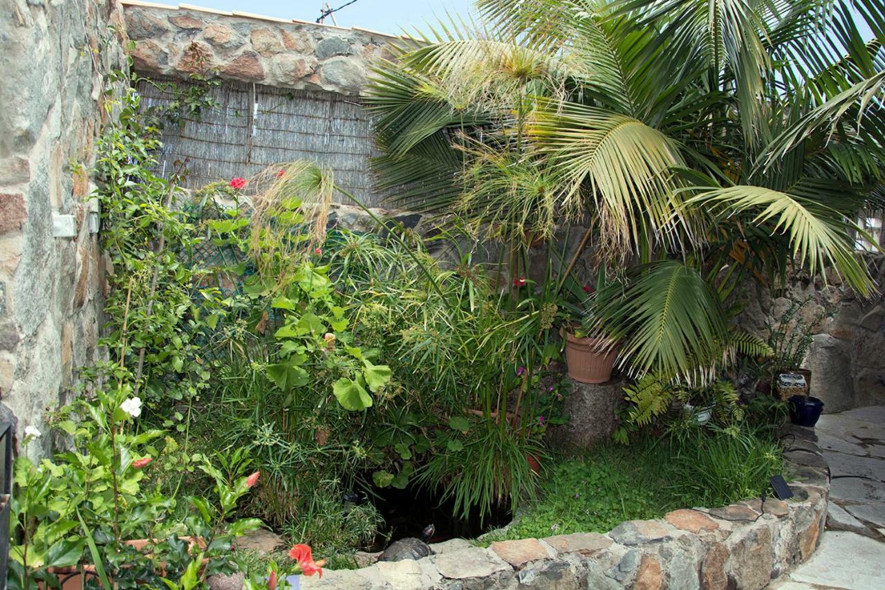 Casa El Drago-tafira Baja Privatunterkunft Las Palmas / Gran Canaria